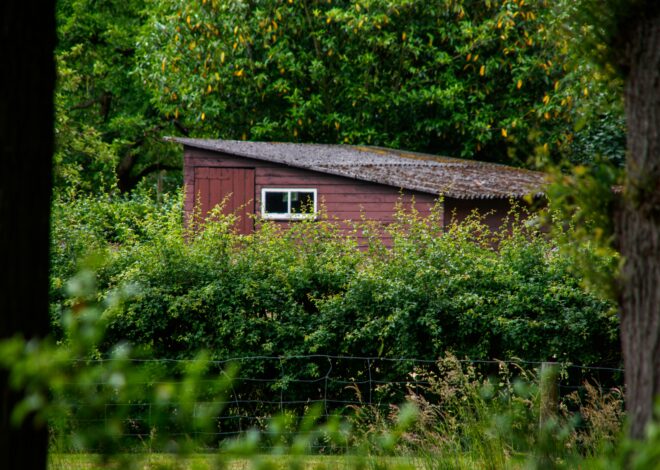 De ideale combinatie voor het plaatsen van een schuur
