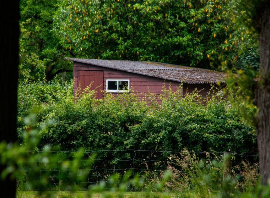 De ideale combinatie voor het plaatsen van een schuur