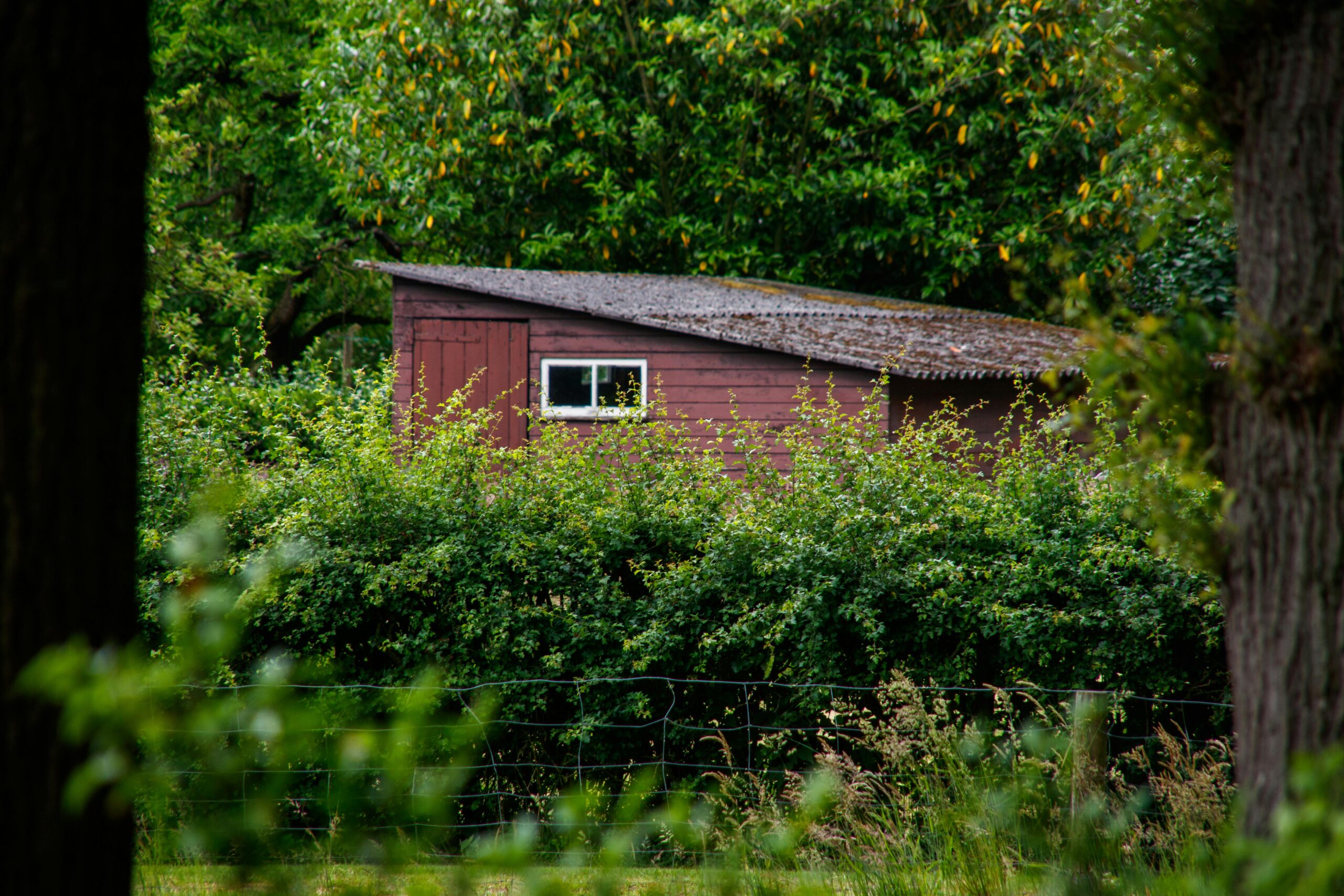 De ideale combinatie voor het plaatsen van een schuur